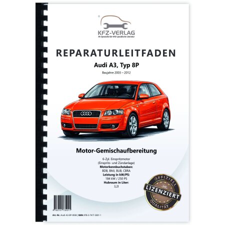 Reparaturanleitung Audi A3 8P (03-12) 3,2l Benzin Einspritz- Zündanlage 250 PS