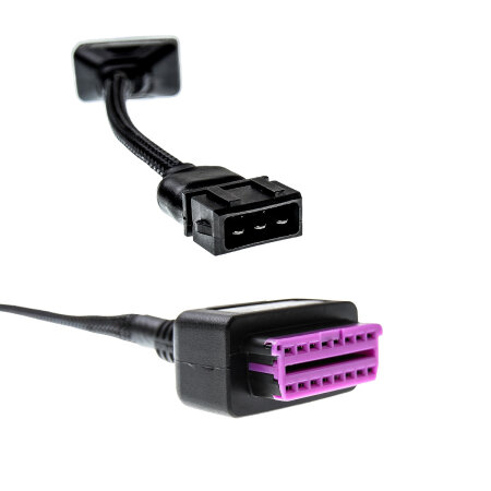 Adapter for Mexico Beetle
