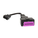 Adapter für Mexiko Käfer